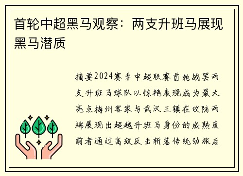 首轮中超黑马观察：两支升班马展现黑马潜质